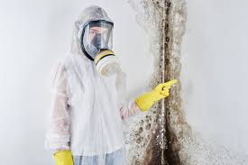 Best Comprehensive Air Testing for Mold Contaminants  in Wolfe City, TX